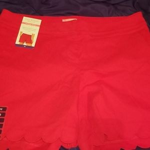 Trouser Shorts